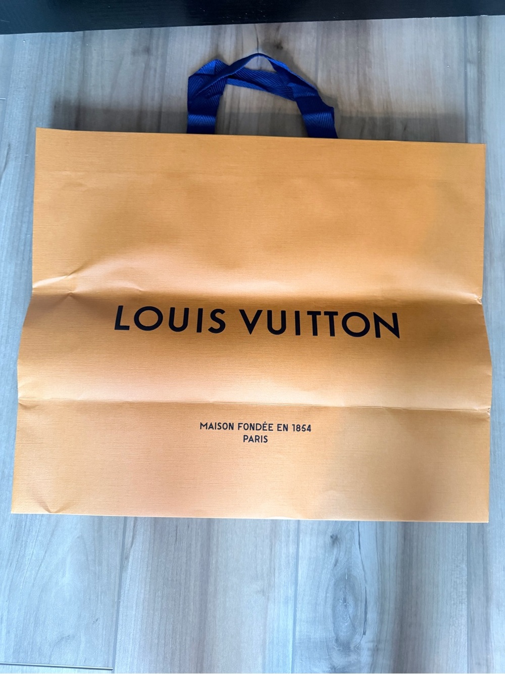 Louis Vuitton Paper Bag
